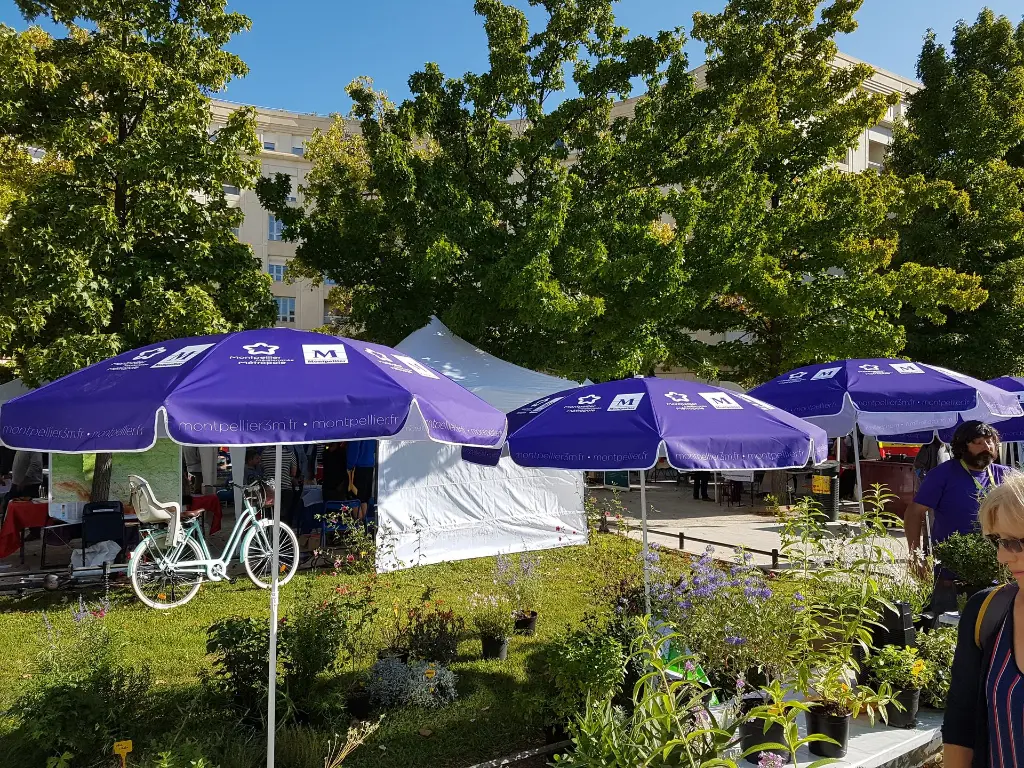 parasol montpellier metropole (1).webp